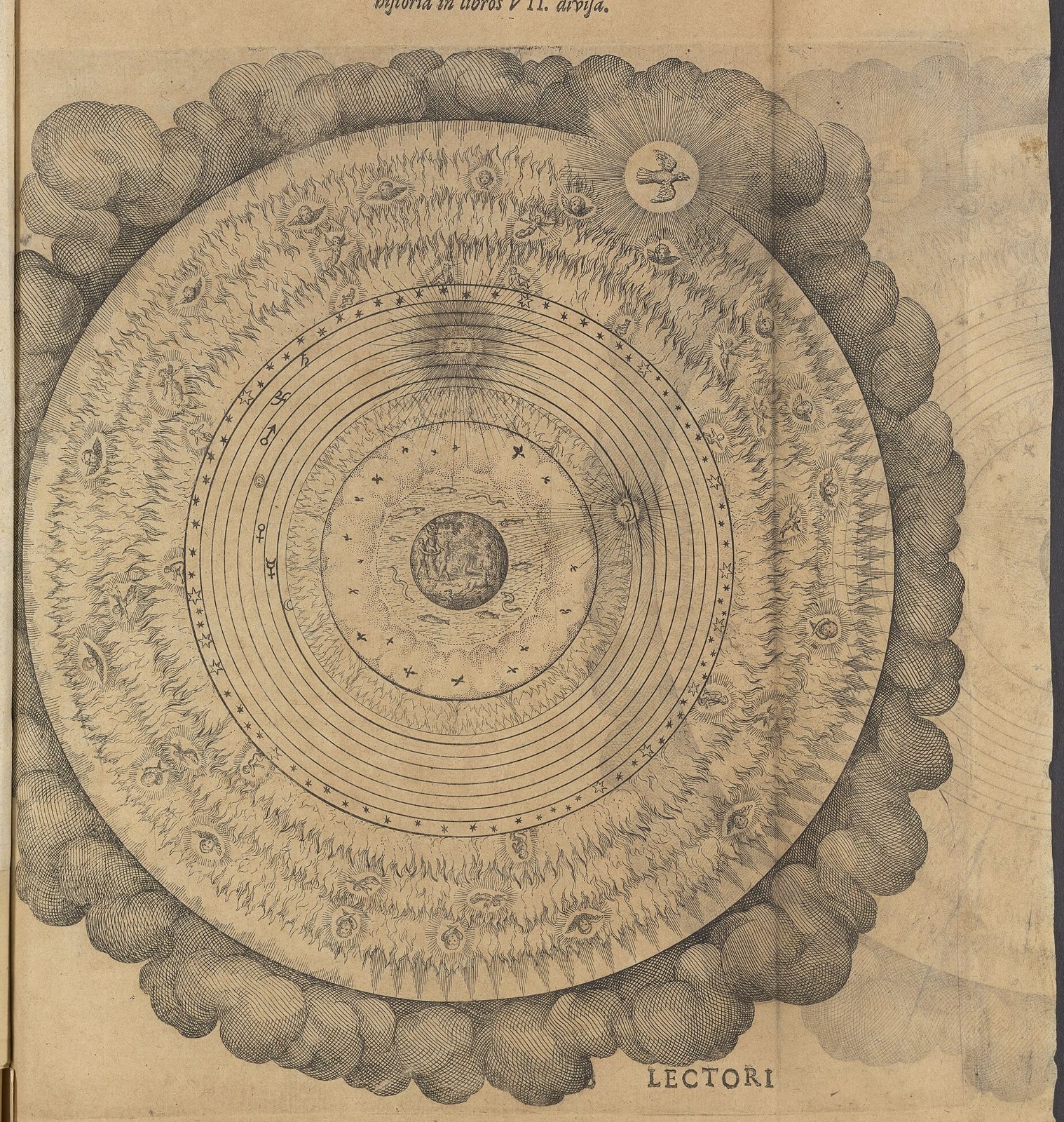 The Structure of the Macrocosm