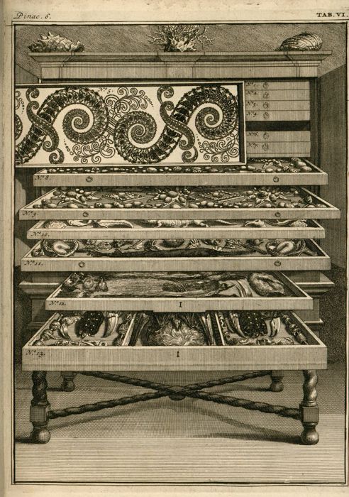 The Serpent Cabinet