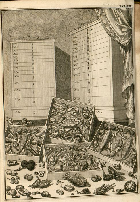 A Cabinet with Open Drawers