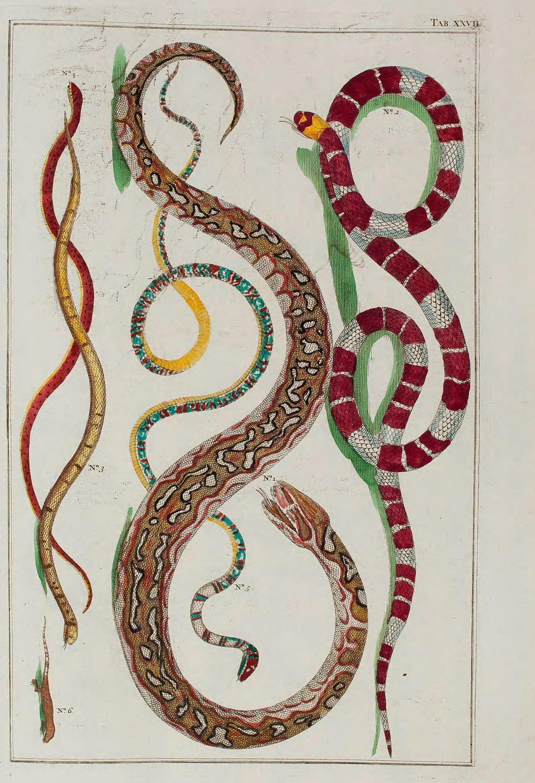 Serpents